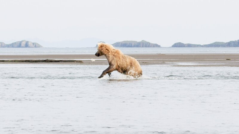 Bild: CuriosityStream-Inc.