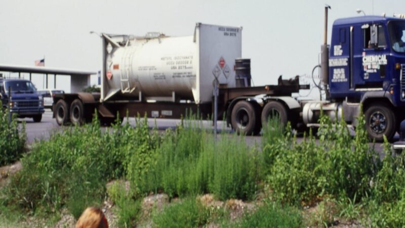 Bild: National Geographic Channel