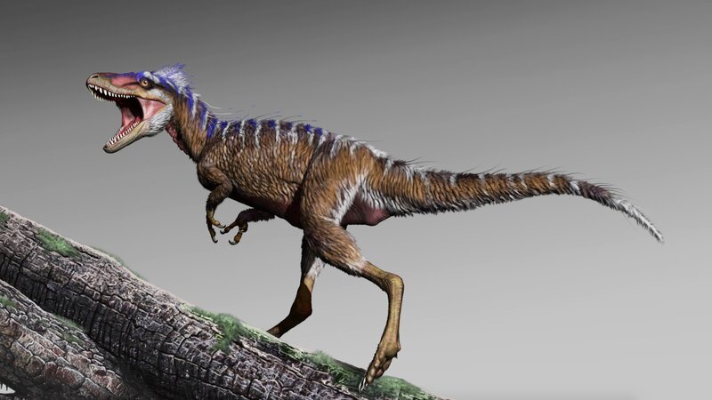 TINY TYRANNOSAUR – Bild: CuriosityStream-Inc TINY TYRANNOSAUR – Bild: CuriosityStream-Inc
