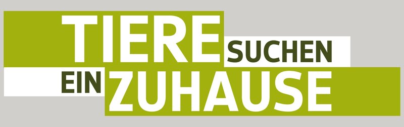 Bild: WDR/​Annika Fußwinkel