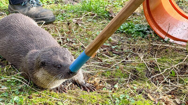 „Carla“ muss still halten, um einen Fisch zu bekommen. – Bild: BR/​Text und Bild Medienproduktion GmbH & Co. KG/​Katja Schübl