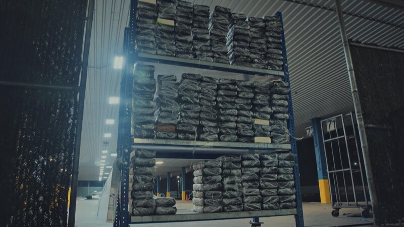 Bild: Stampede Productions Ltd /​ Jaylend Shields Lizenzbild frei