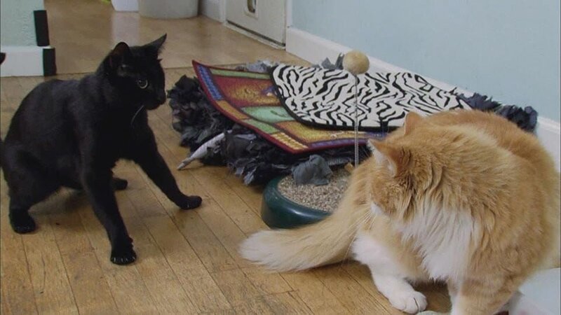 . – Bild: Warner Bros. Discovery