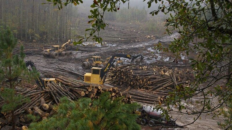 Wideshot of logging machines at work. – Bild: Discovery Communications /​ Terry Pratt