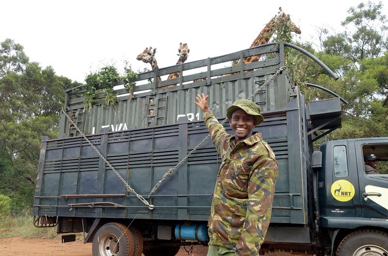 Der 32-jährige Mike Parkei arbeitet seit neun Jahren bei der Ruko Community Conservancy. – Bild: MedienKontor/​Therese Engels