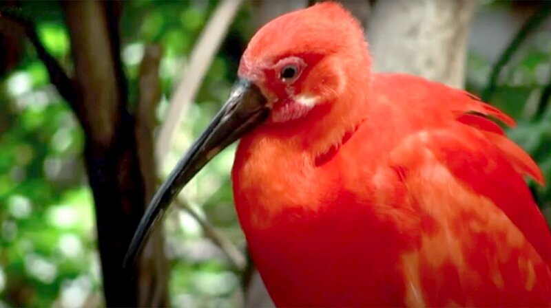 Bild: phoenix/​ZDF