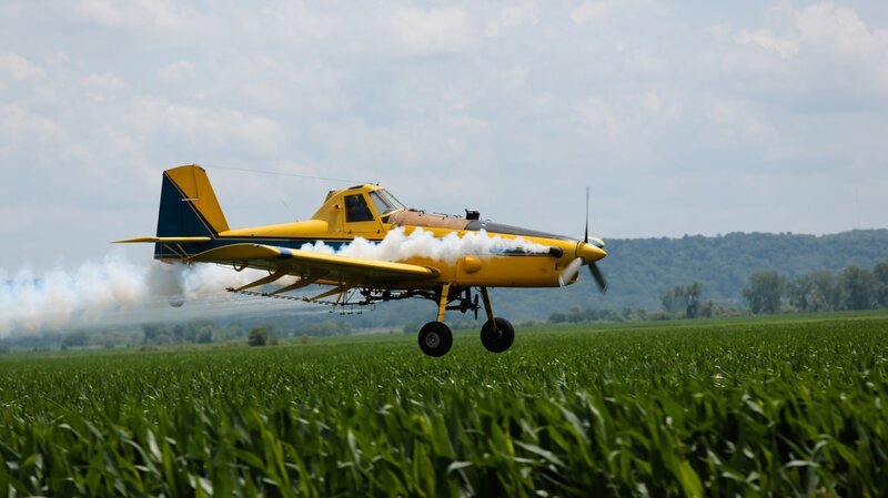 Bild: Discovery Channel /​ Photobank 33296_Ep208_022 /​ Discovery Communications