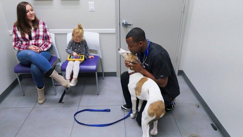 Bild: Discovery Communications, LLC