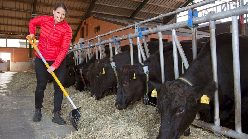 Gasteberin Marisa Marquardt mit Wagyu-Rindern. – Bild: Melanie Grande /​ BR, WDR