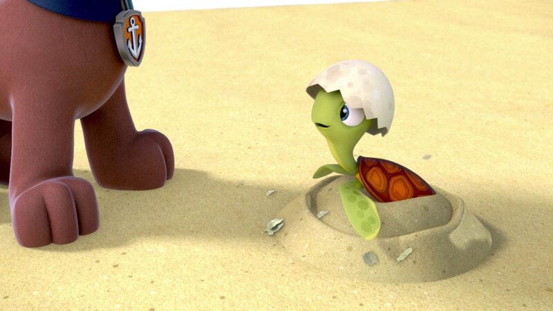 Bild: RTL Deutschland