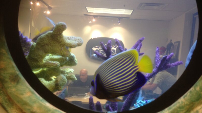 Bild: Animal Planet /​ Discovery Communications