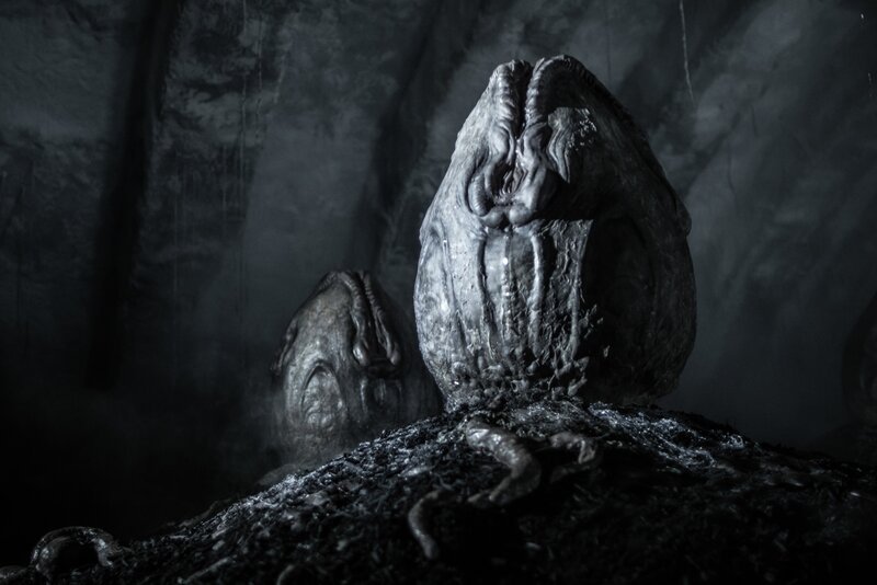 _DSC9563.ARW – Bild: Fox Film #3 Pty Ltd. /​ Mark Rogers