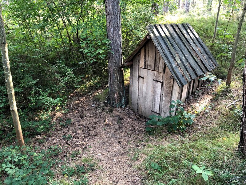 Pecherhütte. – Bild: ORF III Pecherhütte. – Bild: ORF III