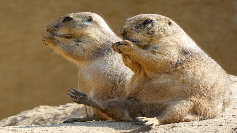 Bild: Bertrie Roggen /​ 500px /​ Getty Images /​ CuriosityStream