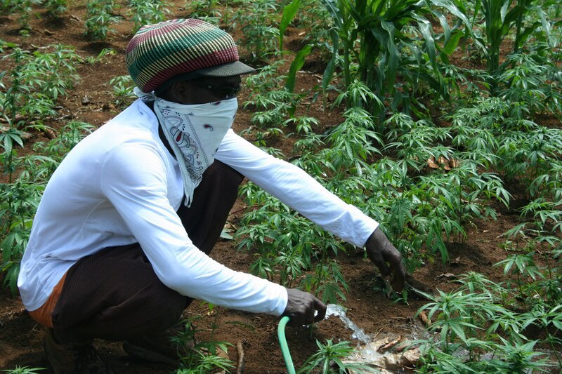 Bild: The National Geographic Channel.