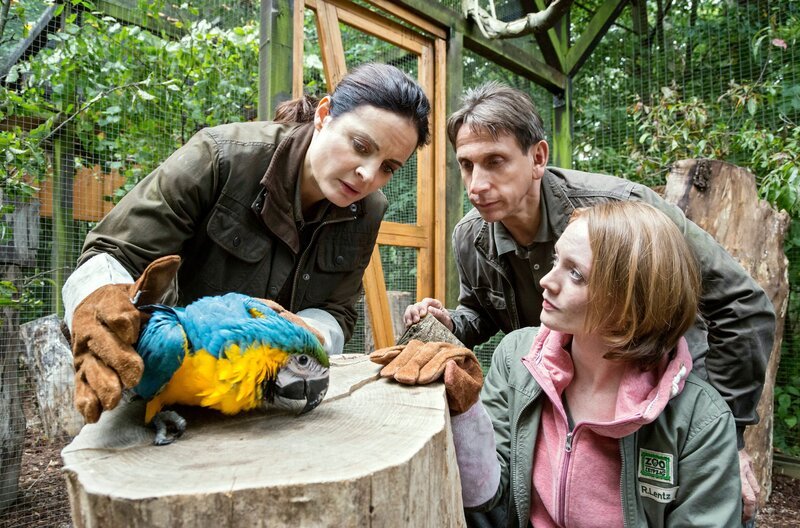 Tierärztin Dr. Mertens (Elisabeth Lanz, links), Chef-Tierpfleger Conny Weidner (Thorsten Wolf, Mitte) und Assistenz-Tierärztin Rebecca (Janina Stopper) sorgen sich um einen Gelbbrust-Ara. – Bild: ARD/​Steffen Junghans