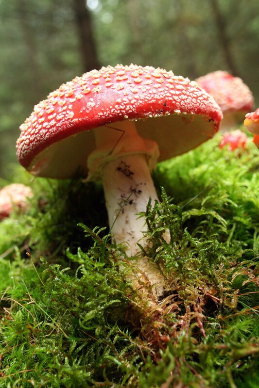 Bild: ORF/NDR Bild: ORF/NDR