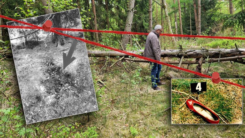 Bild: ZDF und Noah Toerschen