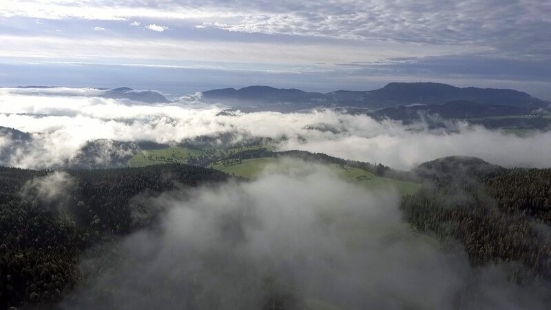 Der steirische Naturpark Almenland. – Bild: ORF/​Visualize