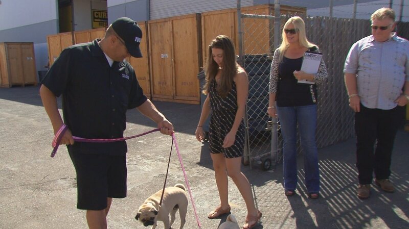 Bild: FR6T /​ AETN INTERNATIONAL