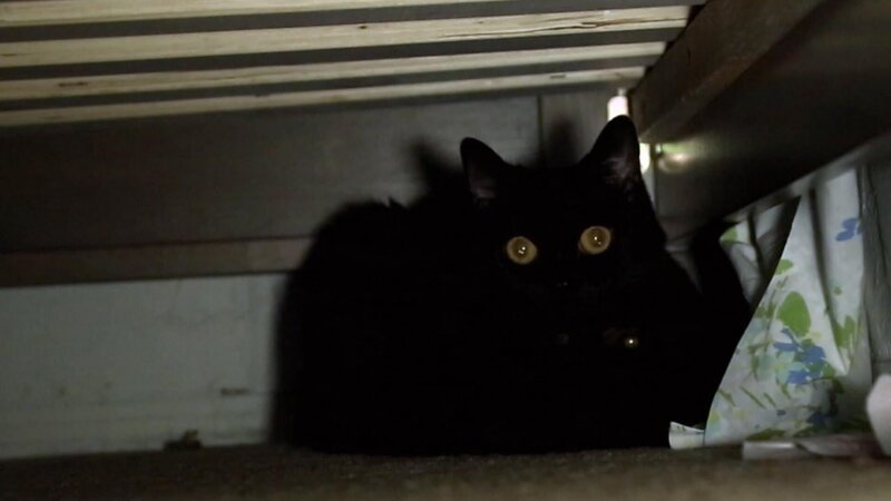 . – Bild: Warner Bros. Discovery