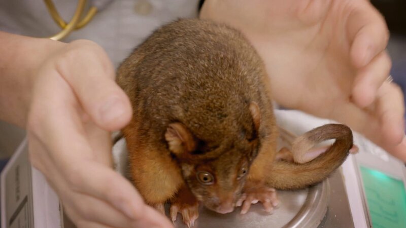 . – Bild: Warner Bros. Discovery