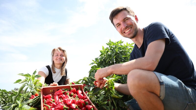Bild: ZDF und Marcel Lepel