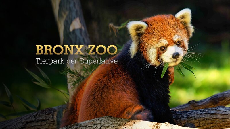 . – Bild: Warner Bros. Discovery