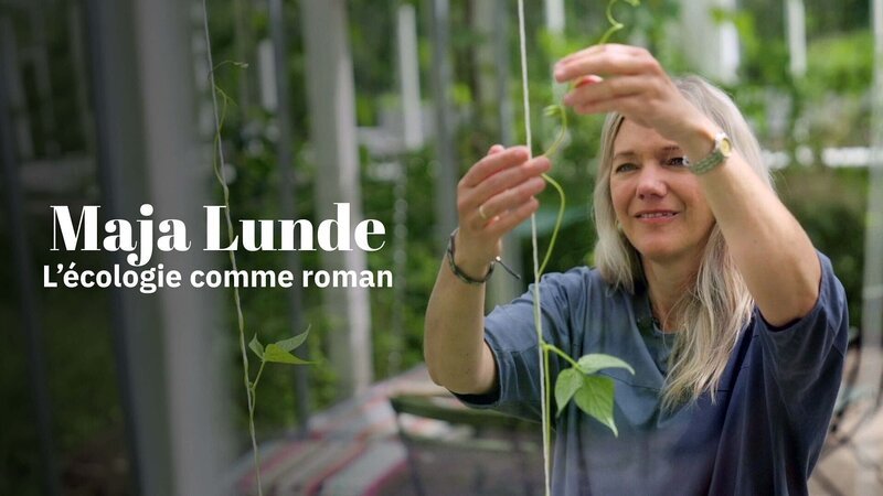  – Bild: Arte