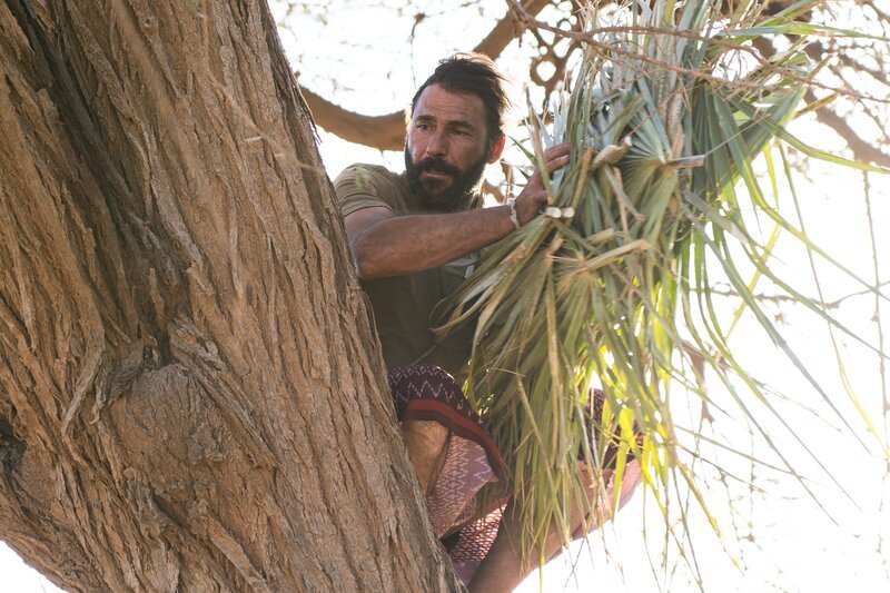 Hazen baut einen Unterstand aus hohem Gras. – Bild: George Watts /​ National Geographic for Disney /​ Disney