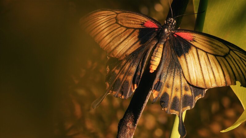 Bild: 2022_CuriosityStream-Inc