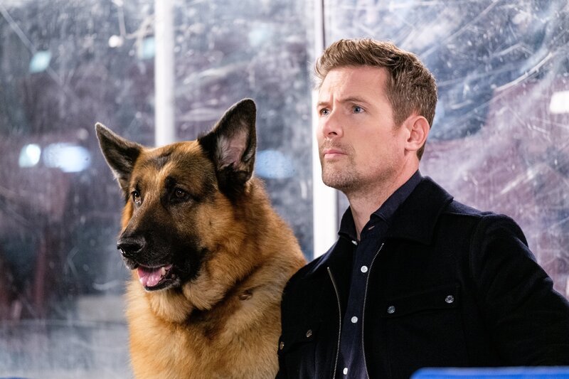 Bild: Dermot Carberry