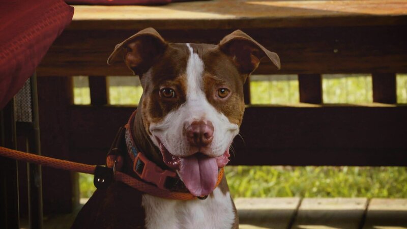 . – Bild: Warner Bros. Discovery