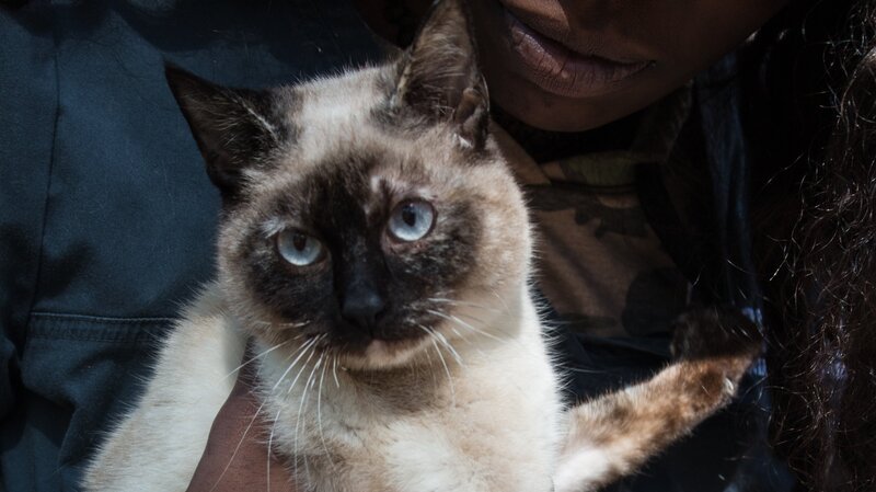 Bild: Discovery Communications