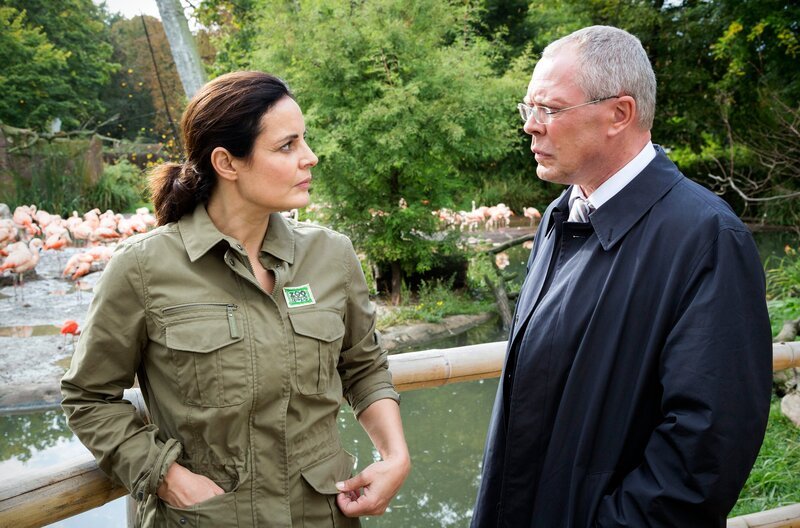 Die Lage ist ernst – der Leipziger Zoo steht ohne Direktor da und OB Herrenbrück (Frank Sieckel, rechts) bittet Tierärztin Dr. Mertens (Elisabeth Lanz) um Unterstützung. Wird sie die Zoodirektion übernehmen? – Bild: ARD/​Steffen Junghans