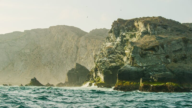 Bild: ZDF und Casey Anderson, Prospect TV & Vision Hawk Film