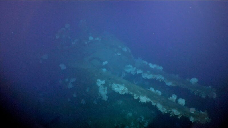 Bild: Lone Wolf Media /​ Lone Wolf Media