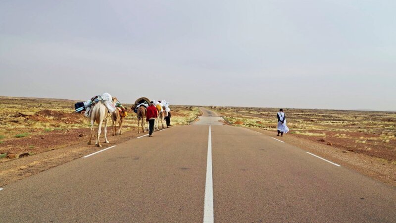 Abenteuer Mauretanien Zu Fuss durch die Sahara Mit Kamelen unterwegs durch die Wüste Copyright: SRF/OneGate – Bild: SRF/OneGate Abenteuer Mauretanien Zu Fuss durch die Sahara Mit Kamelen unterwegs durch die Wüste Copyright: SRF/OneGate – Bild: SRF/OneGate