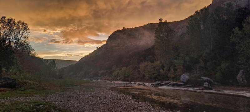 Bild: ORF/​Doclights/​NDR Naturfilm/​Flying Pangolin Film/​Thies Hinrichsen