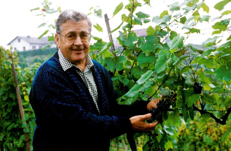 Alfred Böhm. – Bild: ORF (FS1/​FS2) /​ ORF2