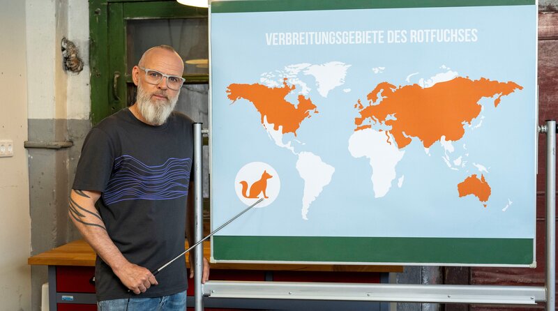 ARD WISSEN VOR ACHT – NATUR FOLGE 204 „Schlau & scharfsinnig: Der Rotfuchs“. Thomas D stellt die extrem gut entwickelten Sinne der Rotfüchse vor. – Bild: ARD/​Bavaria Entertainment/​Melanie Grande