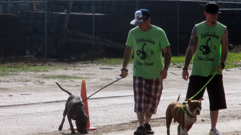 Tia being filmed talking to Earl and Shaun in the country, about work to do for the day. – Bild: Discovery Communications Tia being filmed talking to Earl and Shaun in the country, about work to do for the day. – Bild: Discovery Communications