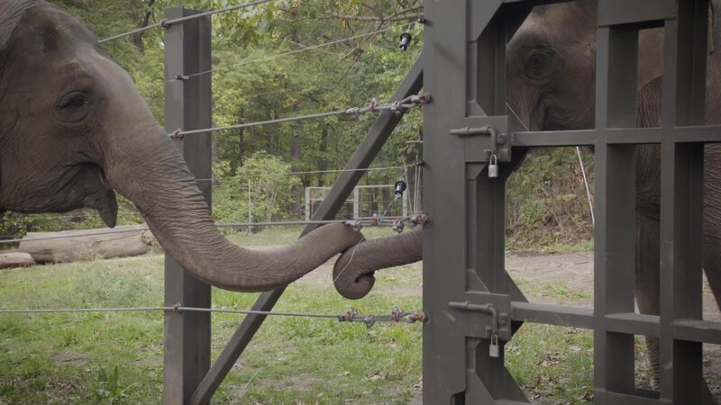 . – Bild: Warner Bros. Discovery