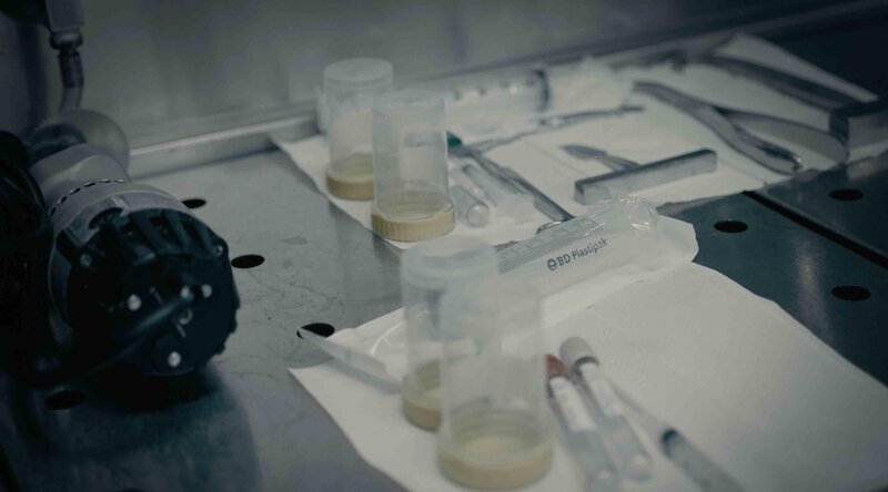 Sadistischer Serienmörder – Bild: RTL /​ Cineflix