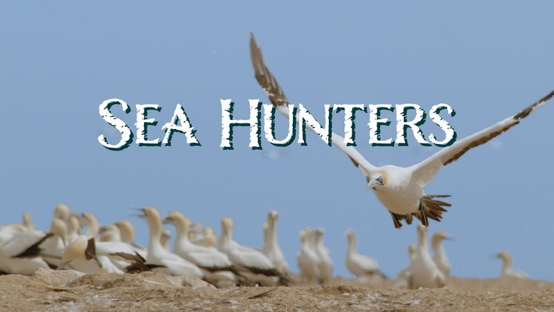 Bild: Curiosity Stream