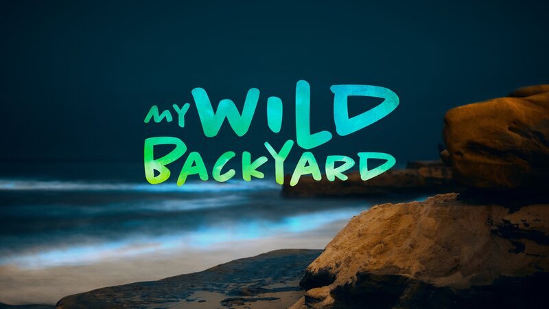 Bild: Curiosity Stream