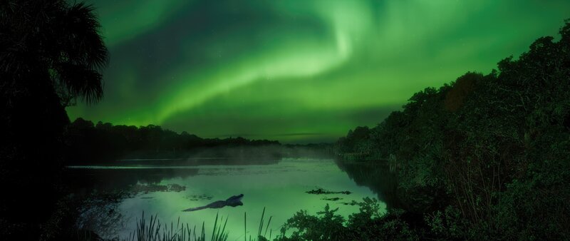 Vor rund 56 Millionen Jahren ist das Klima auf der Erde so warm, dass sich tropische Regenwälder bis weit in Richtung der Pole erstrecken. – Bild: BBC Studios /​ ZDF