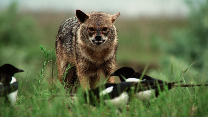 Bild: RTL /​ Terra Incognita Docs