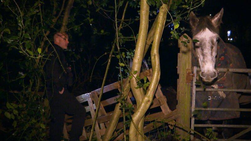 . – Bild: Warner Bros. Discovery