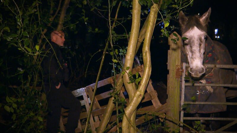 . – Bild: Warner Bros. Discovery